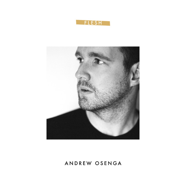 Album Art of Andrew Osenga's Flesh EP - On a white background, the middle 25% of the artwork is a photo of a white man's face looking off to the left with a bit of a neutral expression. Above, in the white space, a gold color rectangle has the words 'Flesh' printed in uppercase white. Below the photo, in bigger font is the artist's name in black text.