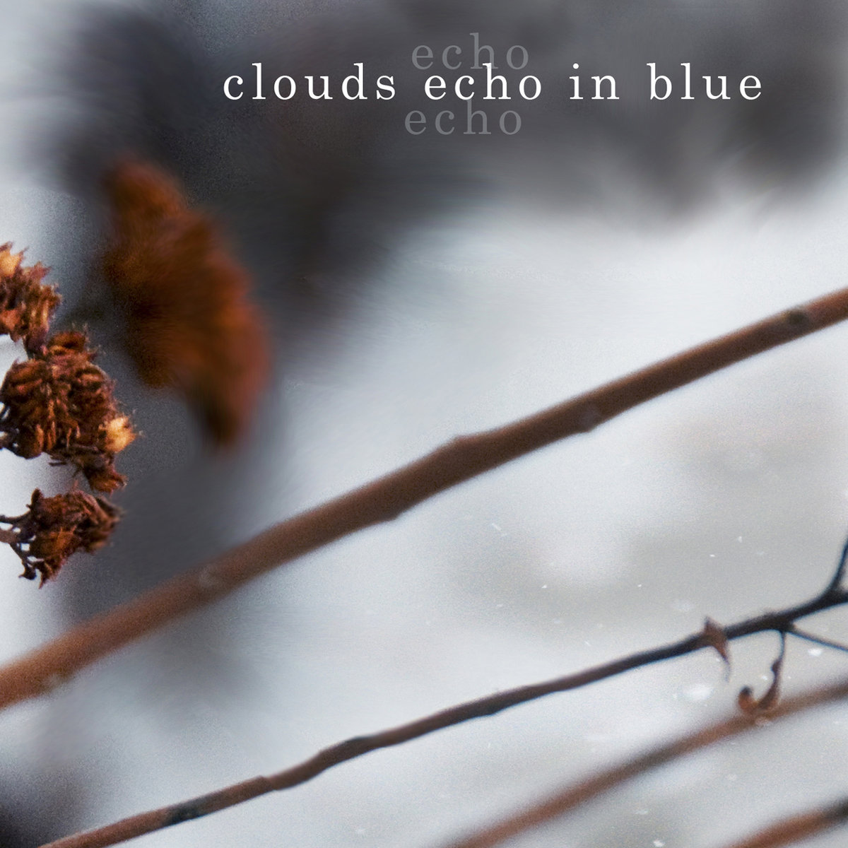 Album Art of Clouds Echo In Blue's self-titled album - A color photo of some branches and some shriveled, brown bits of flowers and leaves hanging off those branches, with a very out-of-focus landscape in the area behind these. Towards the top, printed in white, lowercase text is the band name, with the word 'echo' repeated above and below mostly transparent to the background, for a ghostly echo effect.
