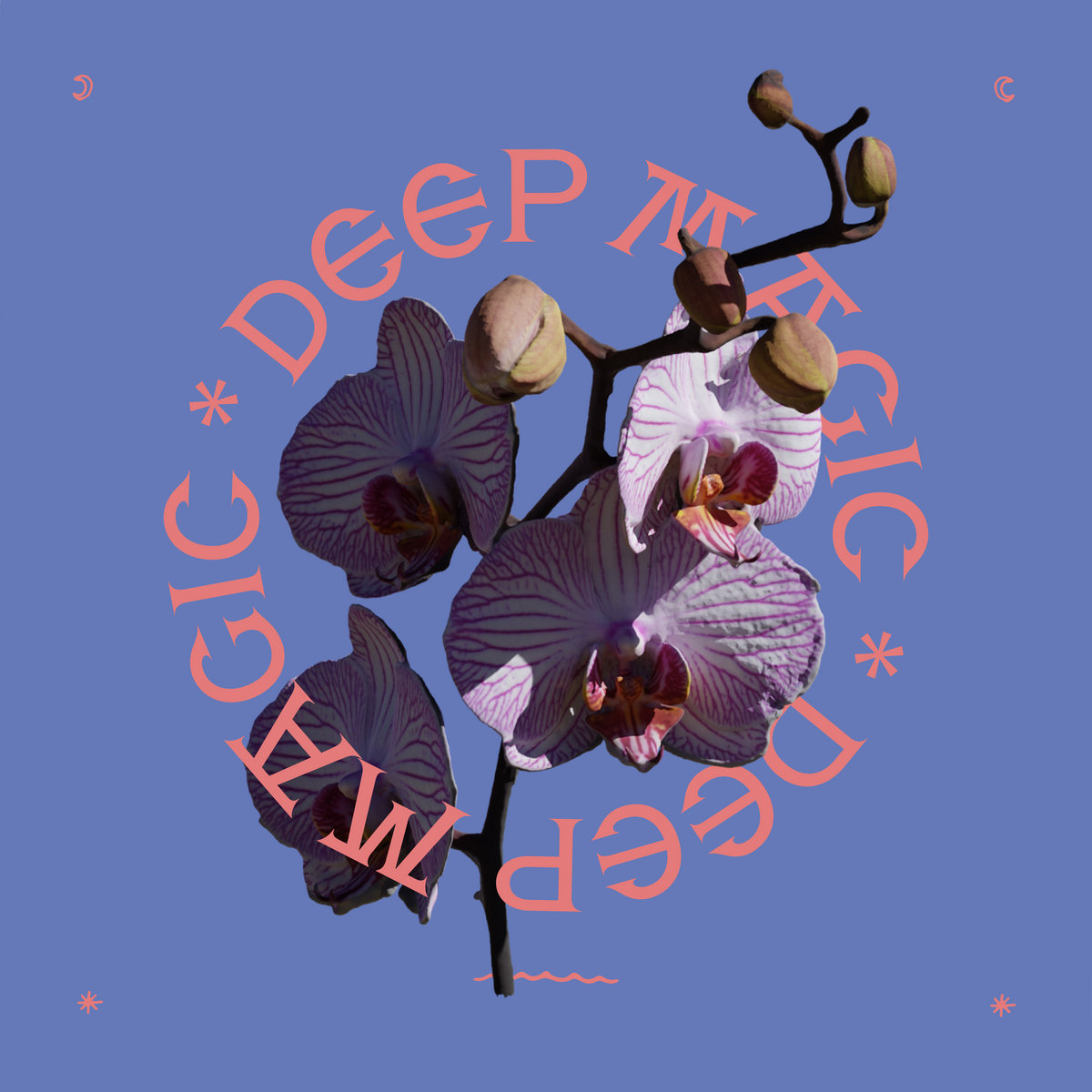 Album Artwork of John Mark McMillan's Deep Magic - A picture of four white and purple flowers and some buds on a branch is on a blushin-purple background. Circling around the flower is the album title, 'Deep Magic', in a pinkish color.