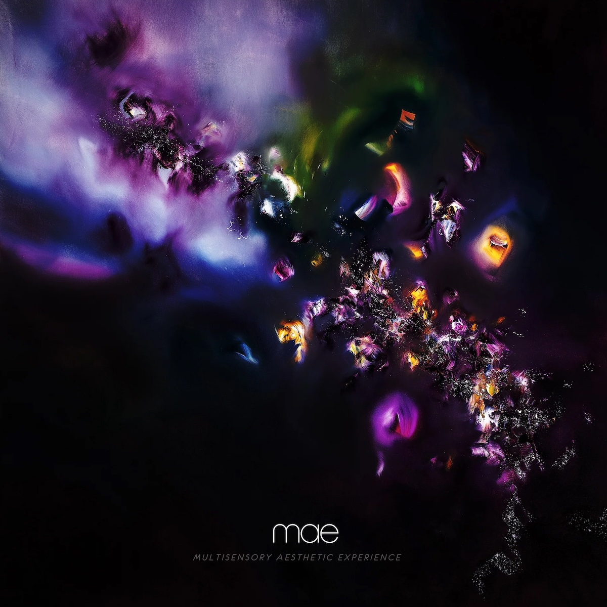 Album Art of Mae's Multisensory Aesthetic Experience album - On a black background, what looks like maybe some galaxies and colored rocks suspended in space. In the top left, it more looks like the milky way, a constellation of many thousands of stars. But as it moves to the top left, it seems more like just a few stones, planets and stars of mostly orange or purple colors leaving the galaxy and moving out in a line on their own.