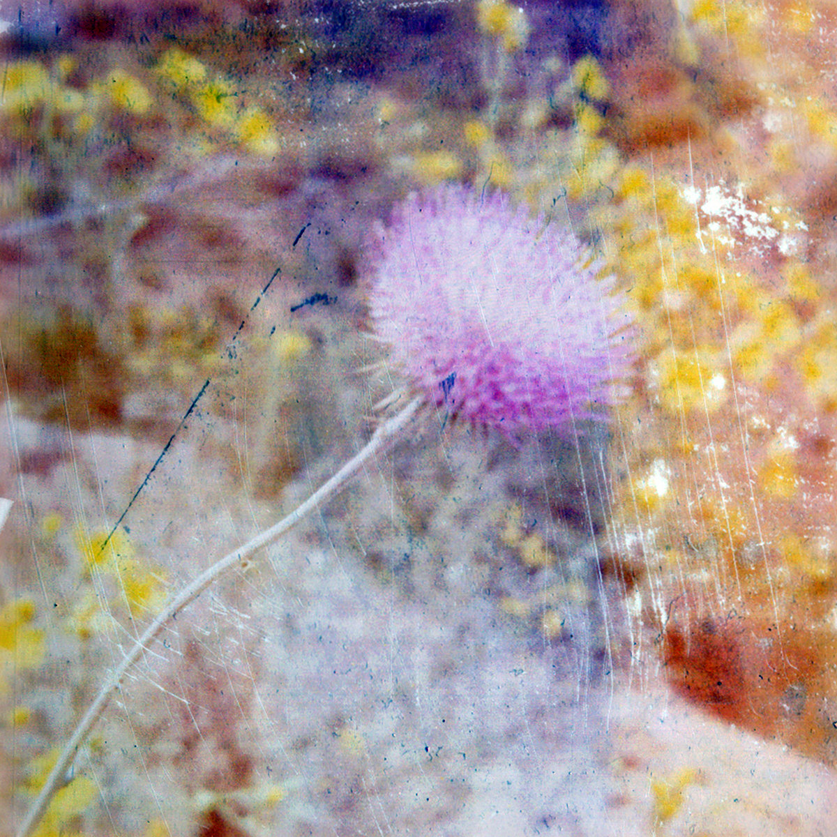 Album Art of Young Oceans's You Are Fullness album - A somewhat blurry color photo of a purple flower with a much less colorful background. The right side of the photo looks to be tinted extra red, and the rest of it maybe extra blue or dark. Above the photo seems to be distresses or scratches, mostly vertical or nearly vertical, and mostly white though there's some that are other colors like dark blue.